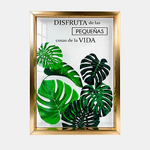 CUADRO DECORATIVO 29*39 C/U