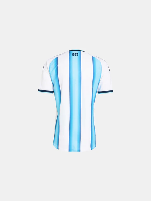 CAMISETA ARGENTINA C/U 3