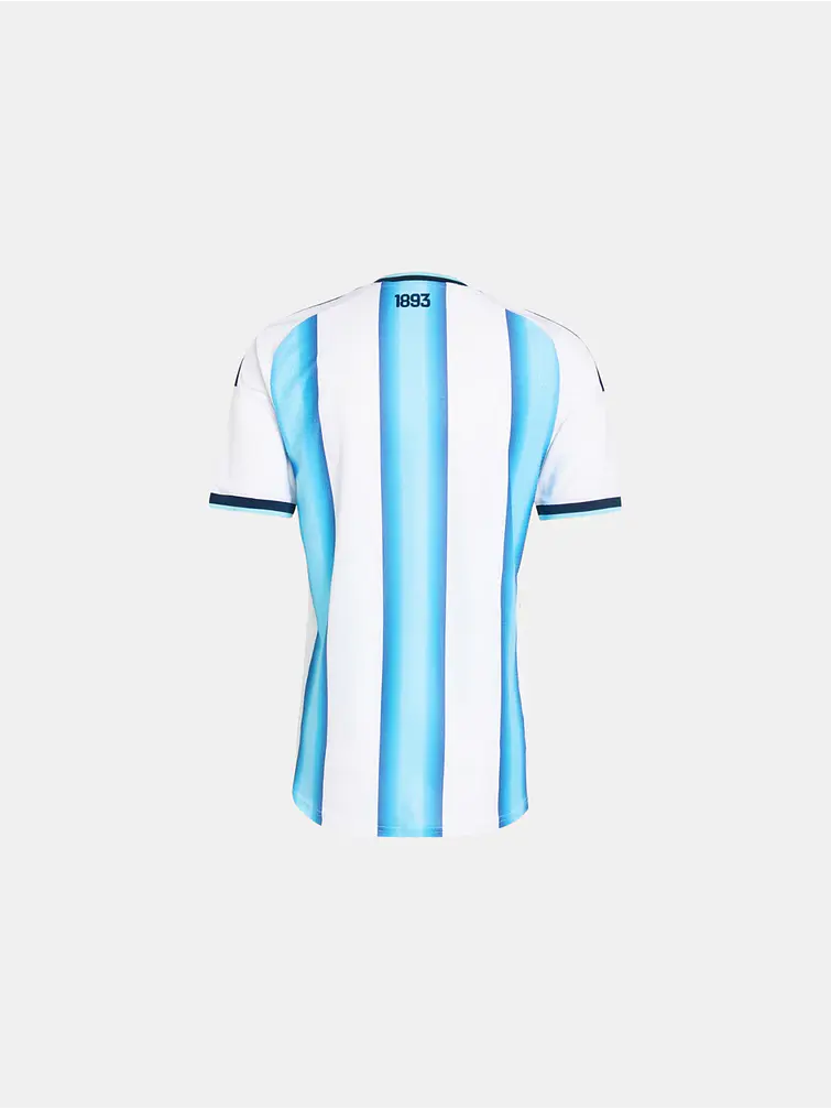 CAMISETA ARGENTINA C/U 3