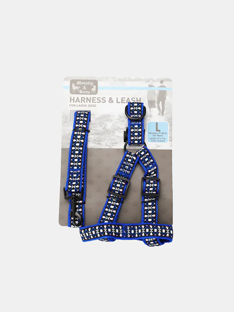 SET DE CORREA Y COLLAR C/U 1