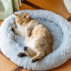 CAMA PARA MASCOTAS C/U