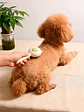 CEPILLO PARA MASCOTAS C/U - Miniatura 2