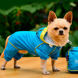 PILOTOS PARA MASCOTAS C/U