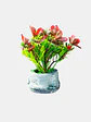 OFERTA - PLANTA ARTIFICIAL CON MACETA C/U - Miniatura 1