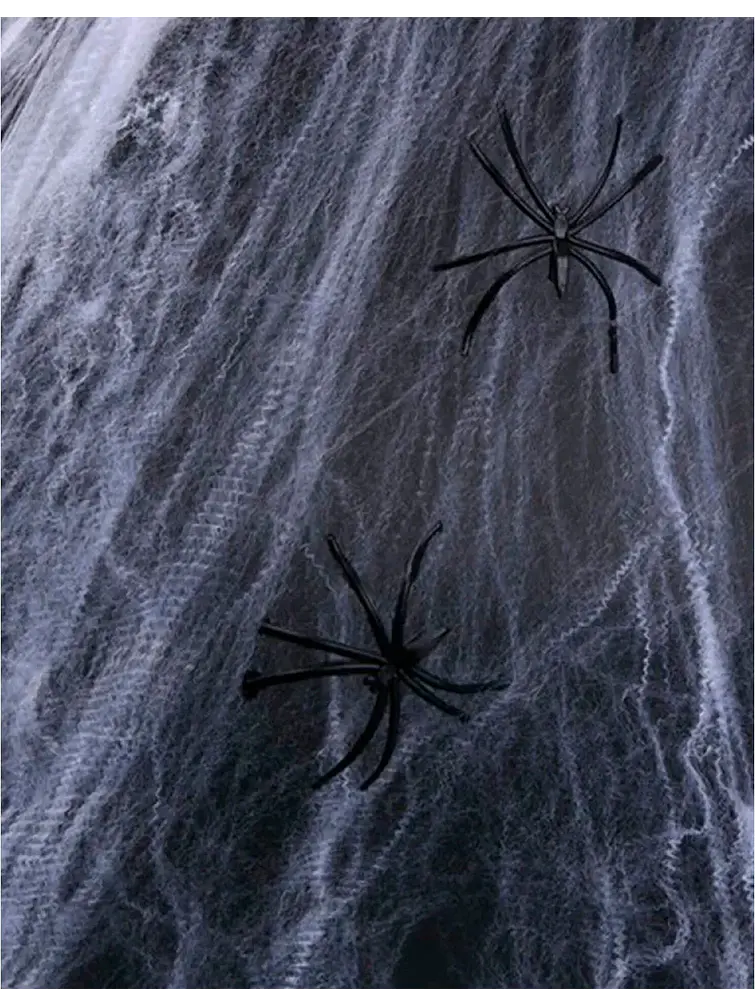 DECORACION TELA DE ARAÑA C/U                       2