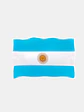 STICKER BANDERA ARGENTINA 24.7*33.5 C/U - Miniatura 1