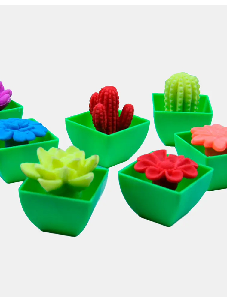 CACTUS GRANDE CRECE AGUA PCS*48                      1