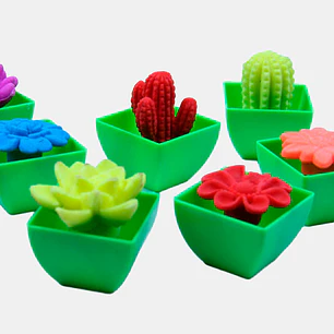 CACTUS GRANDE CRECE AGUA PCS*48                     