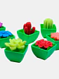 CACTUS GRANDE CRECE AGUA PCS*48                      - Miniatura 1