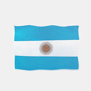STICKER BANDERA DE ARGENTINA 24.7*33.5 C/U