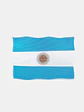 STICKER BANDERA DE ARGENTINA 24.7*33.5 C/U - Miniatura 1
