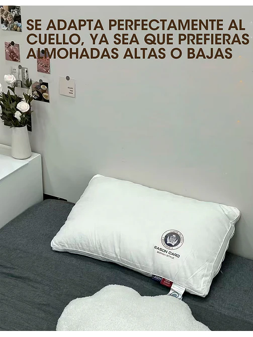 ALMOHADA C/U 3