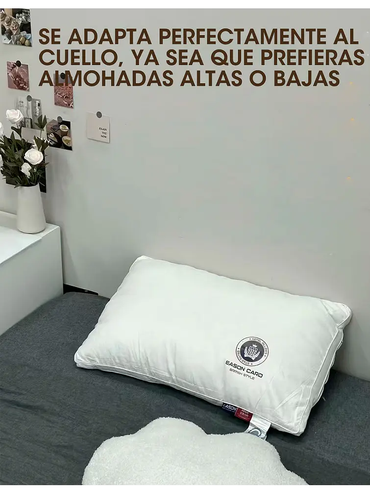 ALMOHADA C/U 3