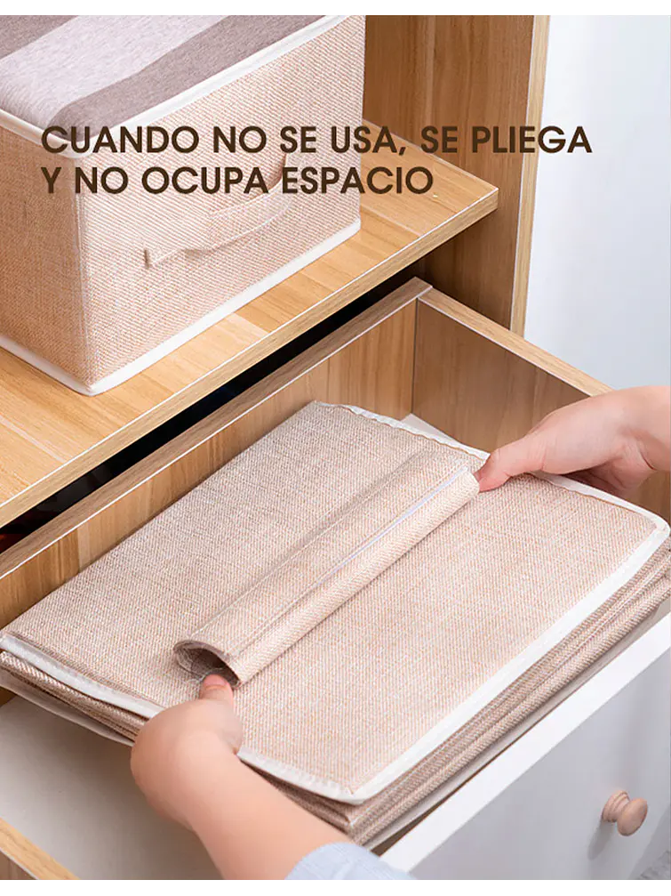 ORGANIZADOR C/U 13