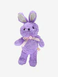 PELUCHE C/U - Miniatura 11