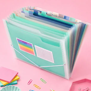 CARPETA ORGANIZADORA EN ACORDEÓN C/U