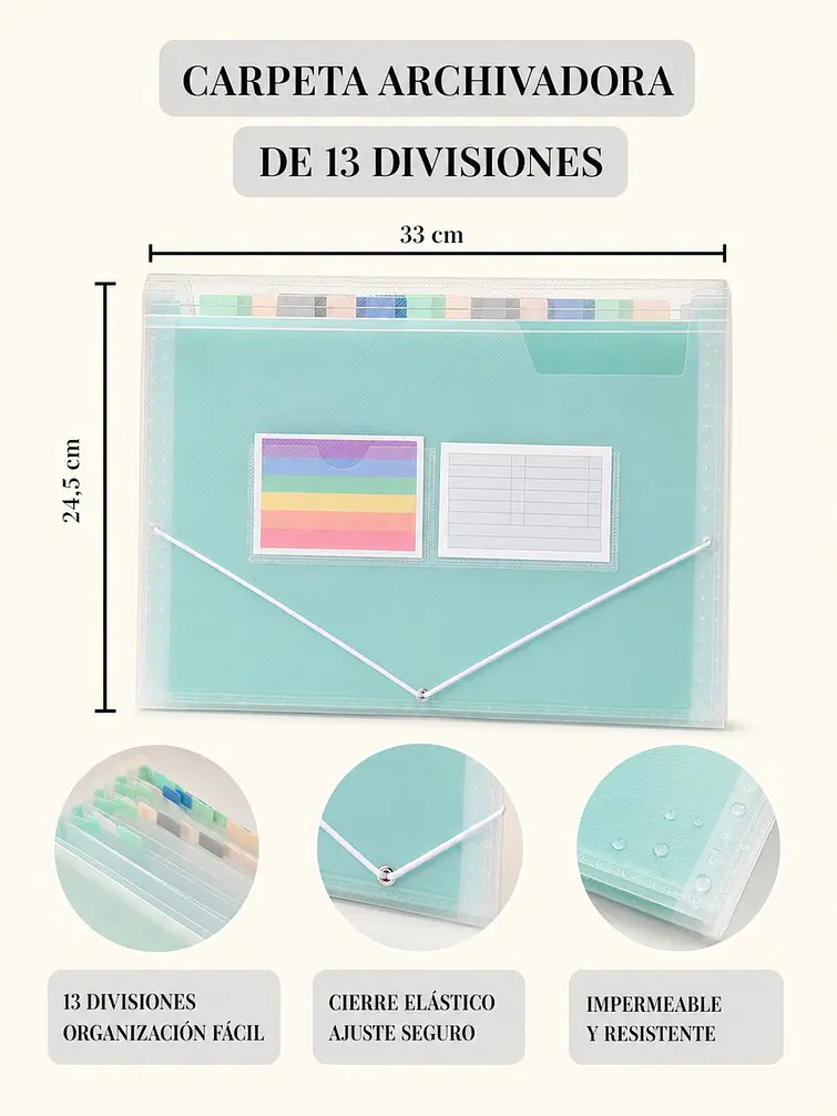 CARPETA ORGANIZADORA EN ACORDEÓN C/U 5
