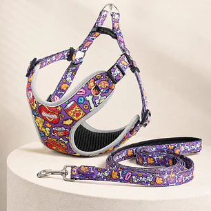 SET ARNES + CORREA PARA MASCOTA C/U
