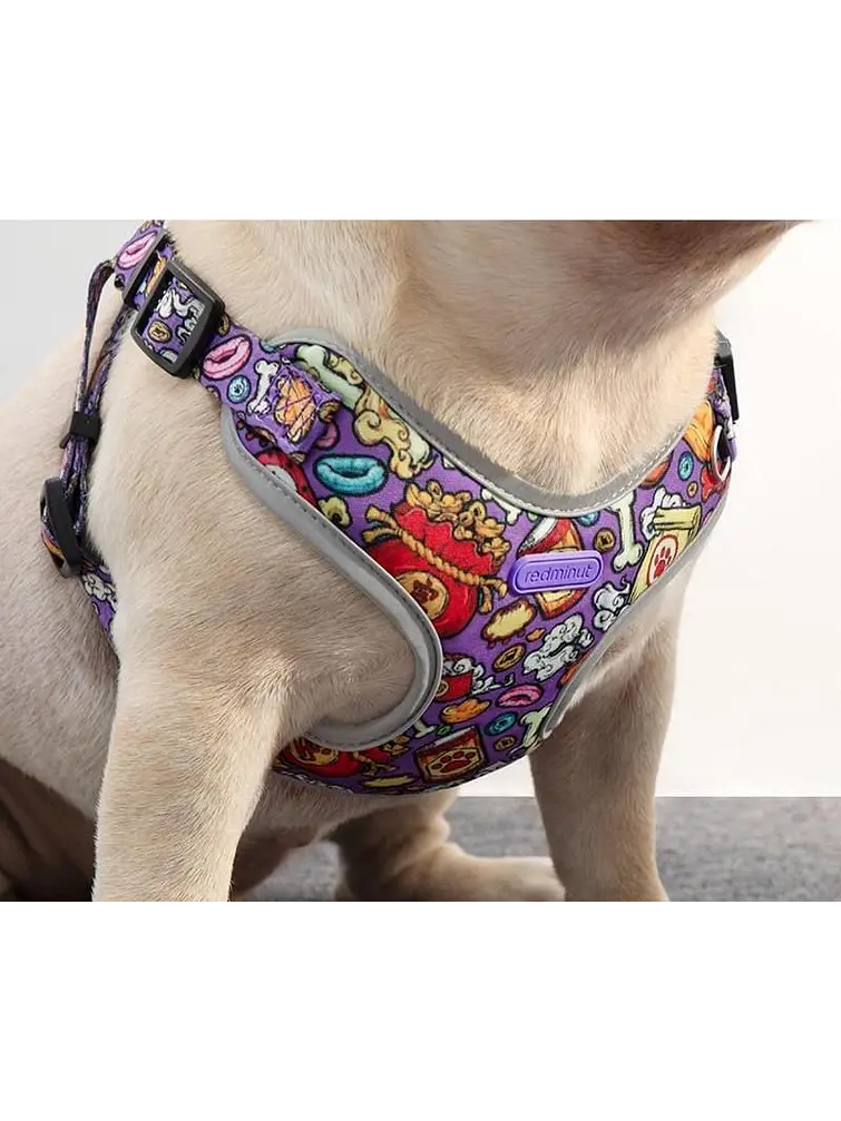 SET ARNES + CORREA PARA MASCOTA C/U 3