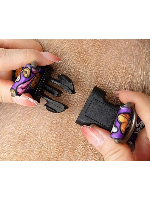 SET ARNES + CORREA PARA MASCOTA C/U 4