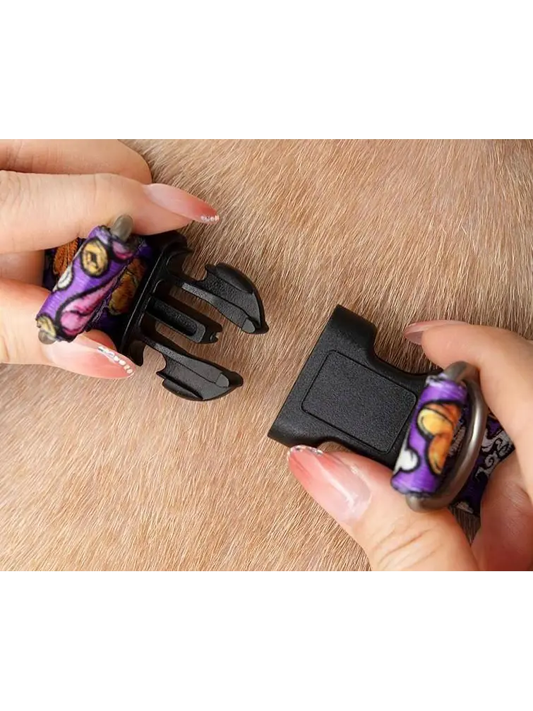 SET ARNES + CORREA PARA MASCOTA C/U 4