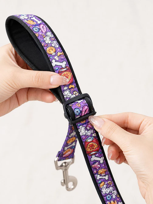SET ARNES + CORREA PARA MASCOTA C/U 6