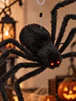 ADORNO DE HALLOWEEN ARAÑA C/U - Miniatura 5