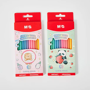 LAPICES DE COLORES PASTEL PACK*12 