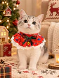 BABERO NAVIDEÑO PARA MASCOTAS - Miniatura 1