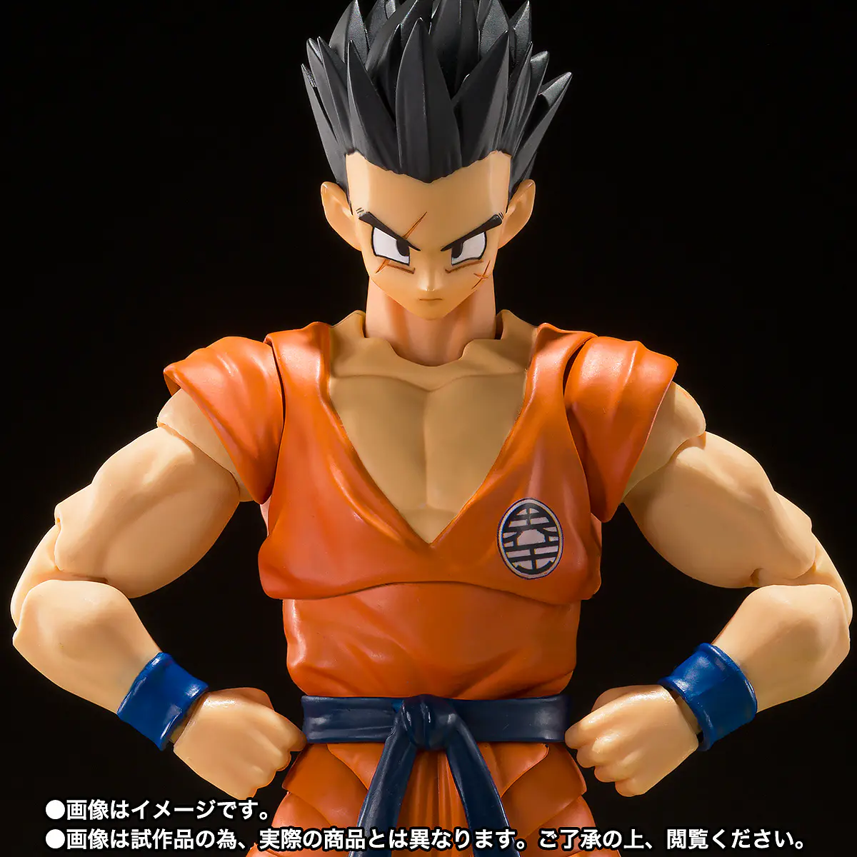 S.H.Figuarts