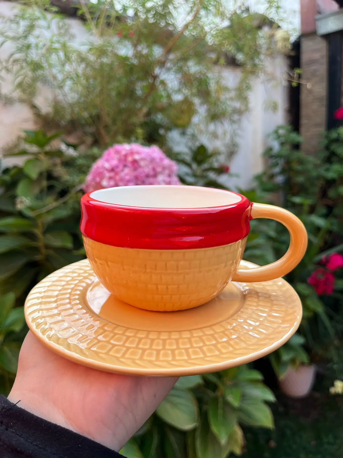 TAZA SOMBRERO Monkey D. Luffy ONE PIECE  2