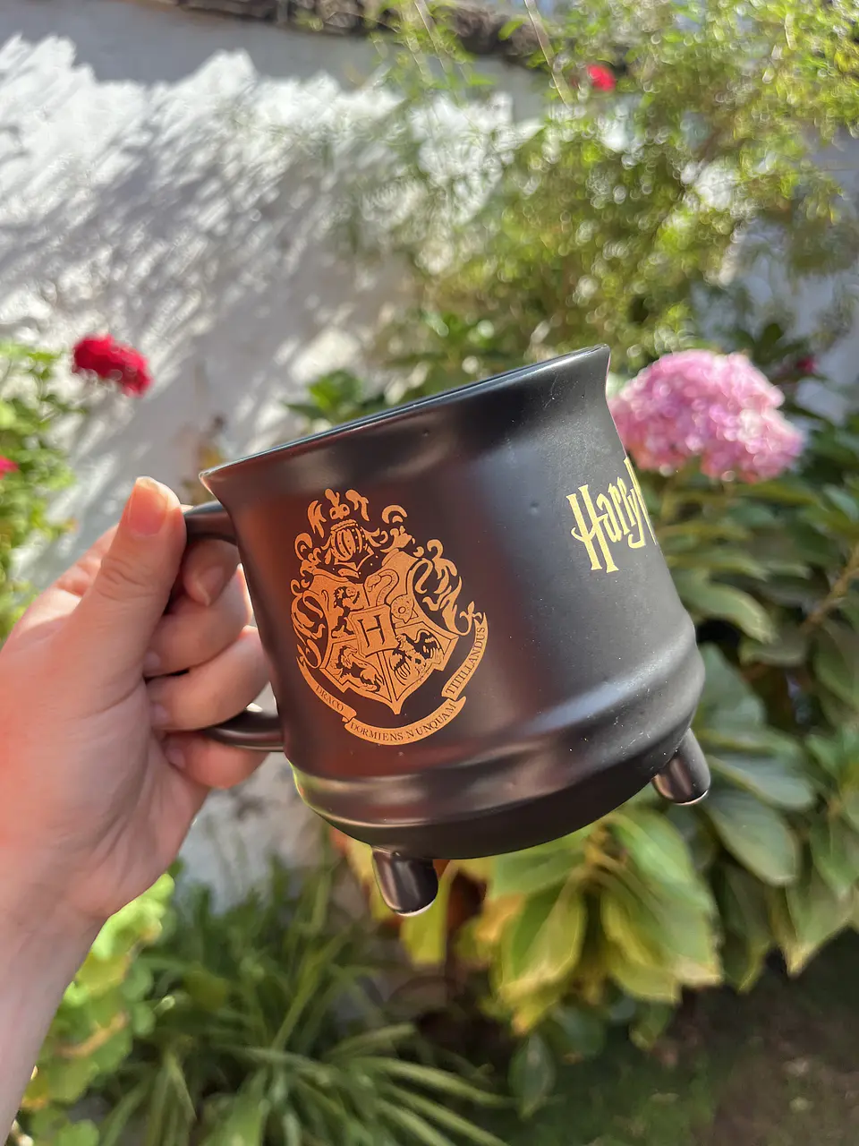 Taza Caldero Hogwarts Harry Potter 1