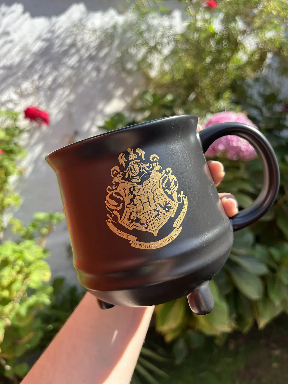 Taza Caldero Hogwarts Harry Potter 4