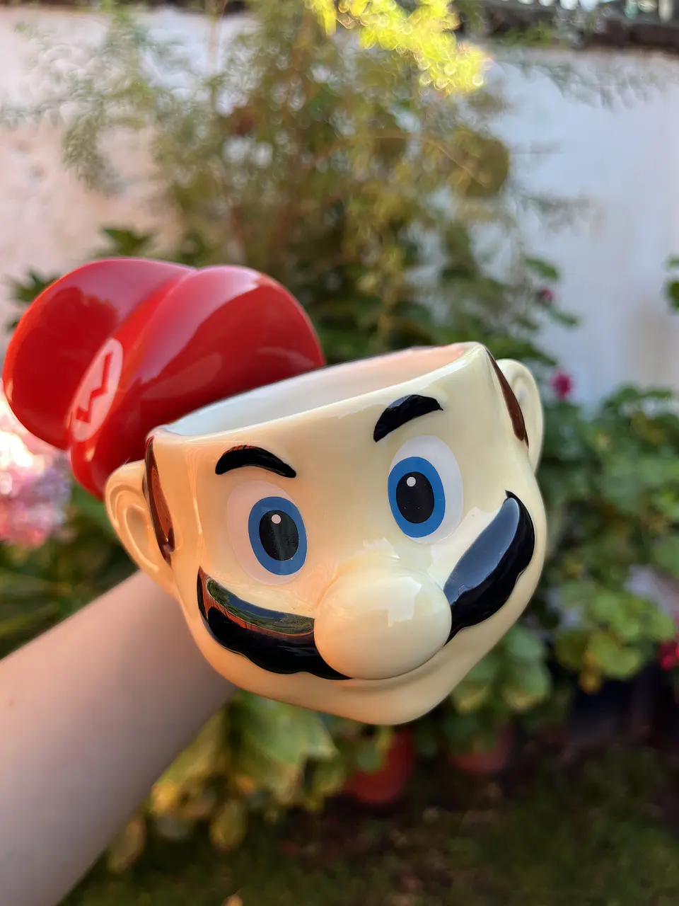 Taza Super  Mario Bros 2