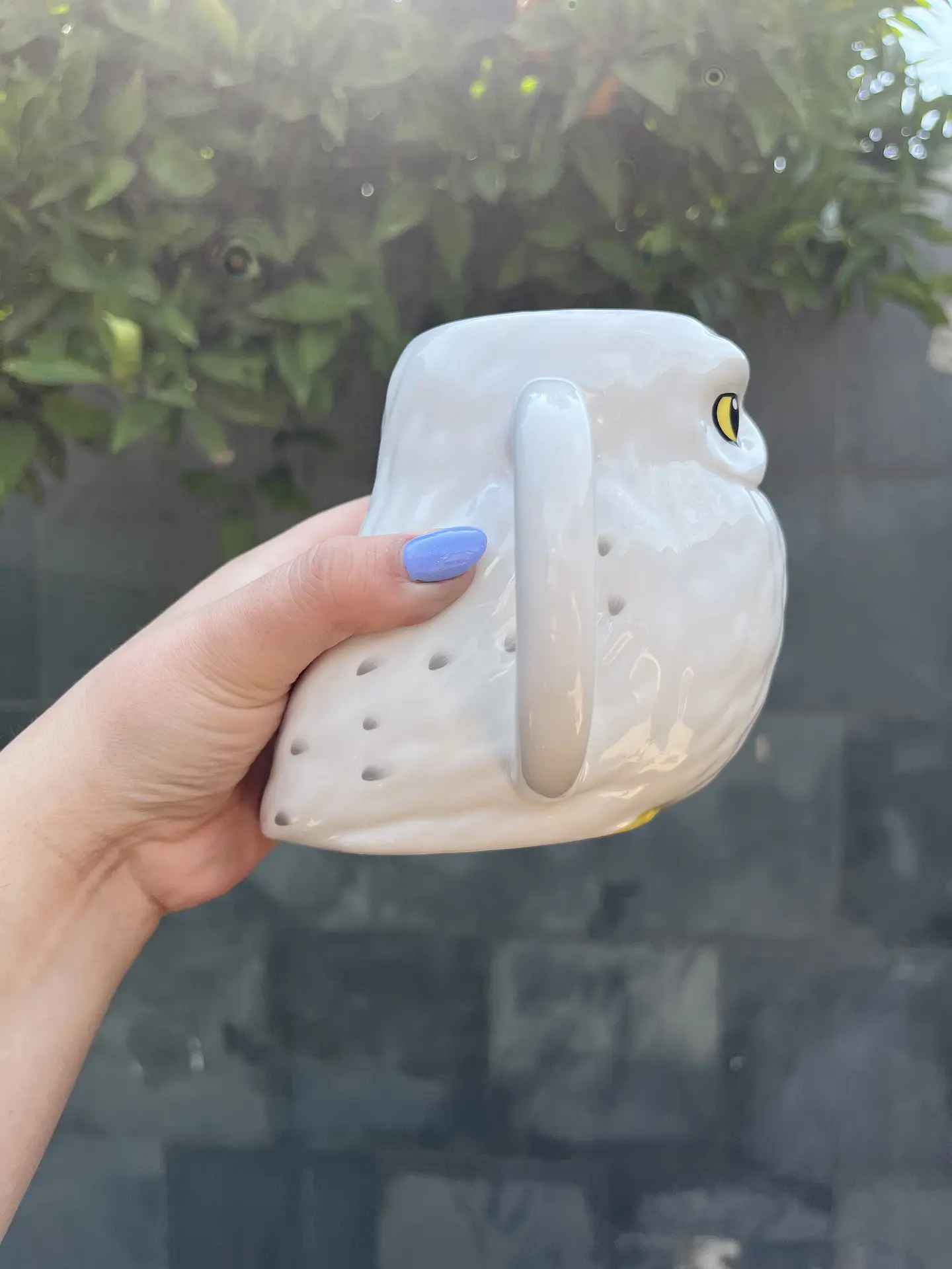 Taza Hedwig Lechuza Harry Potter  3