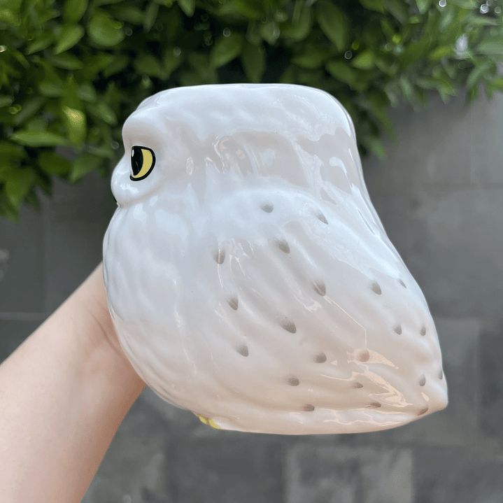 Taza Hedwig Lechuza Harry Potter  4