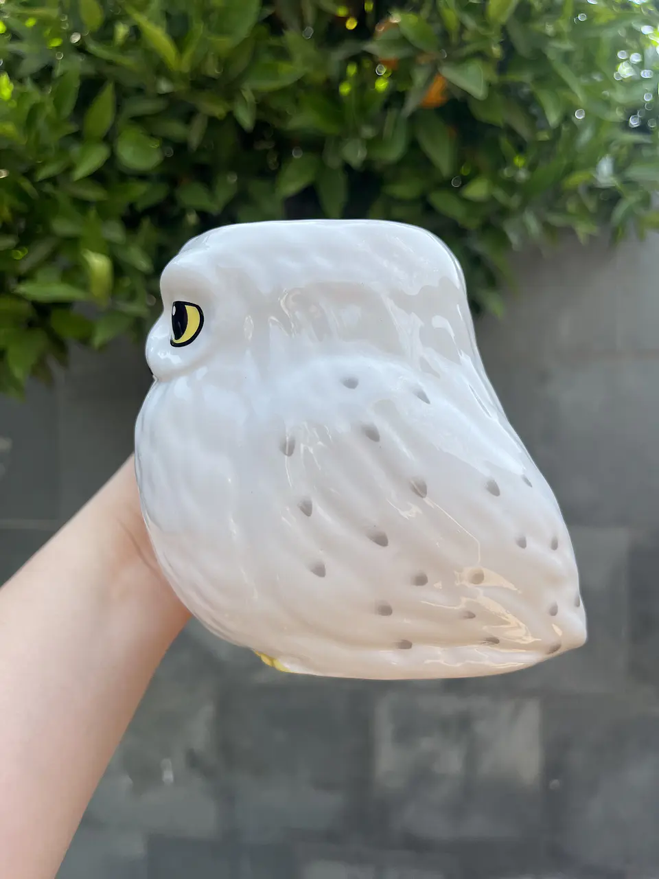 Taza Hedwig Lechuza Harry Potter  4