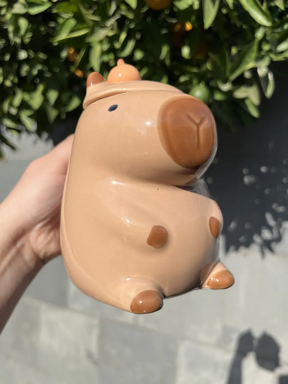 Taza Capibara  1