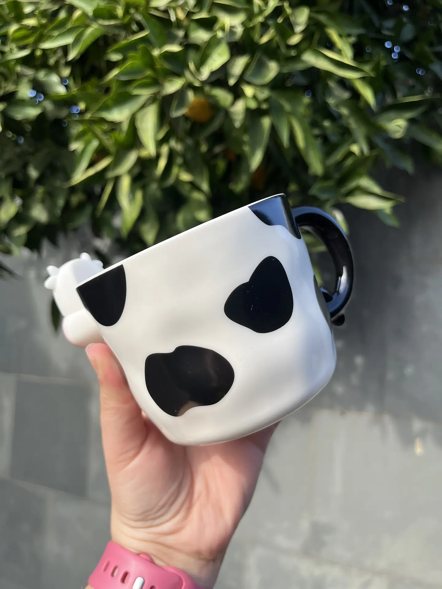 Taza Vaca  2
