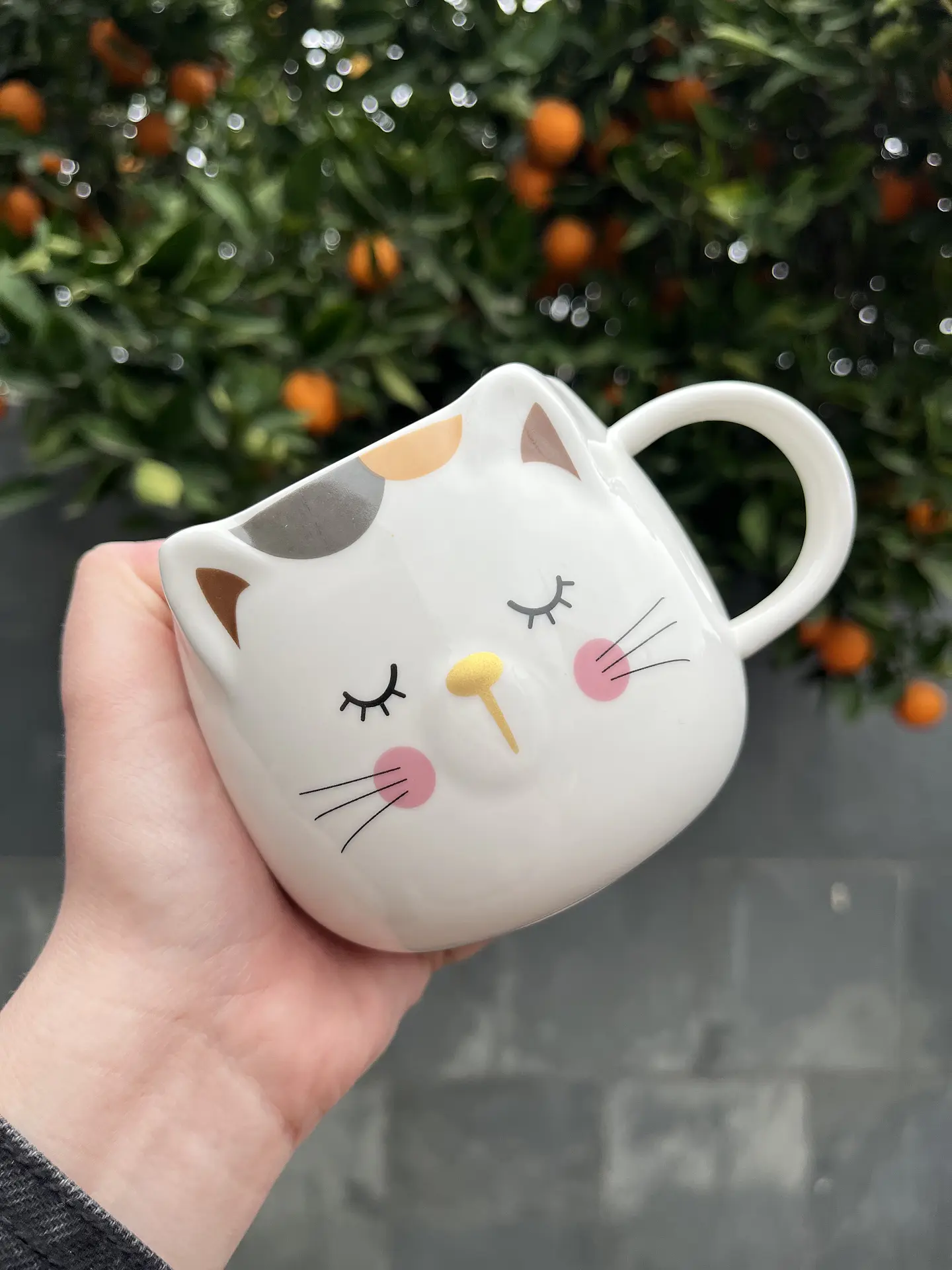 Taza gato  3