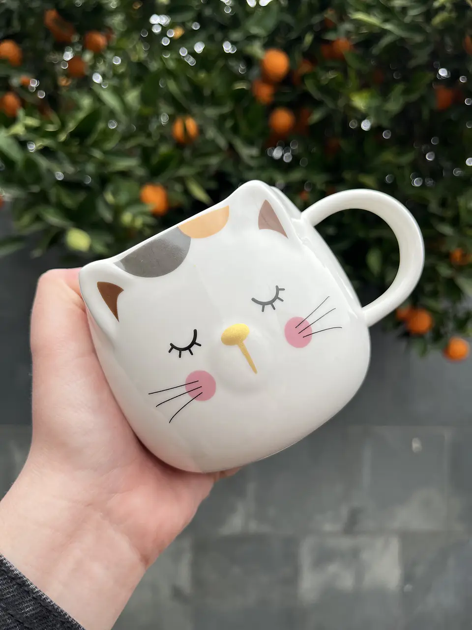Taza gato  3