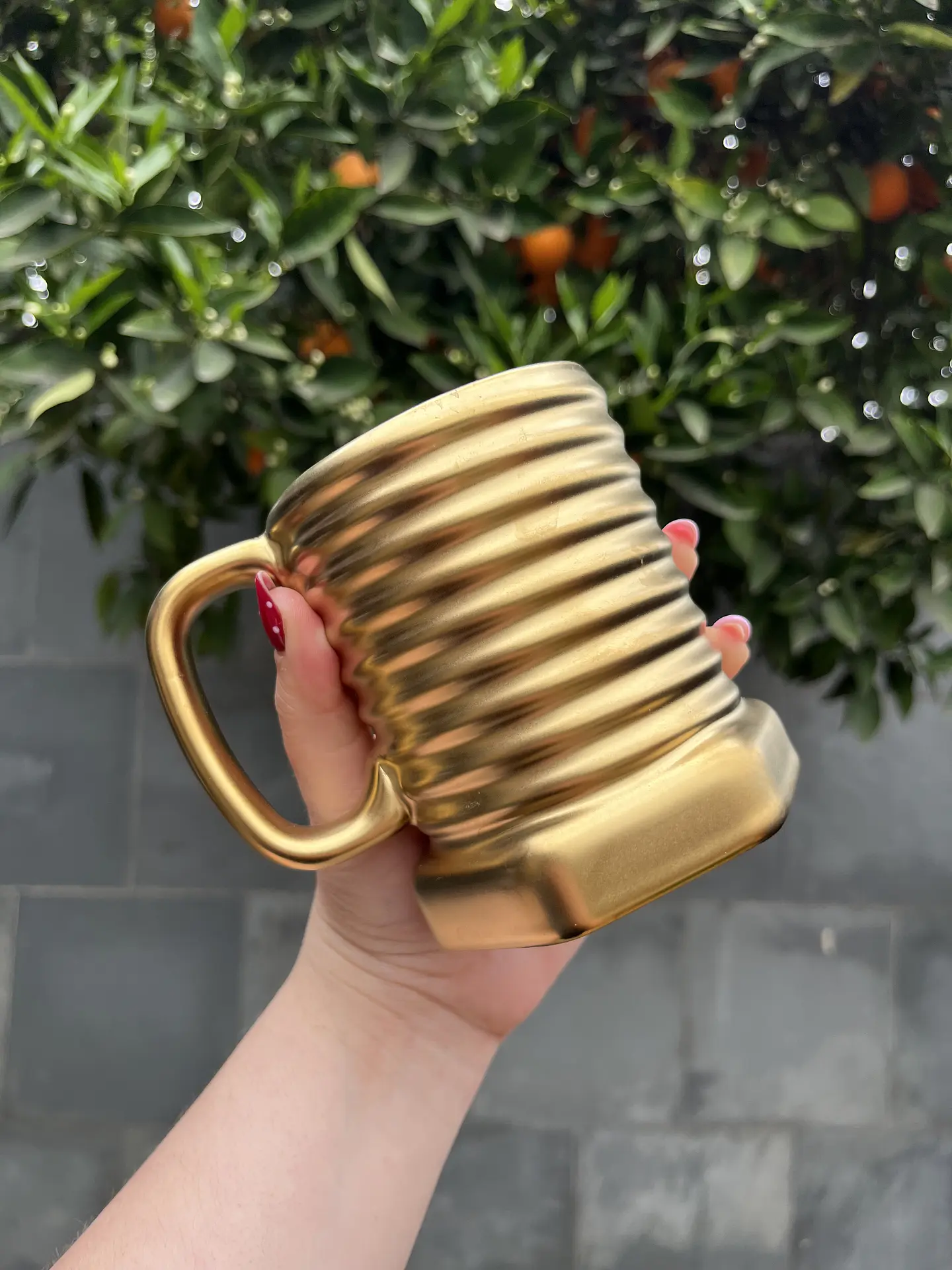 Taza Tuerca  1