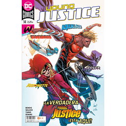 Young Justice #14