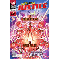 Young Justice #17