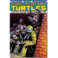 Teenage Mutant Ninja Turtles Tomo #9
