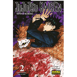 Jujutsu Kaisen #02