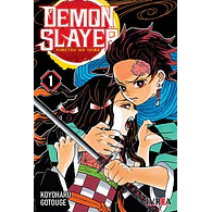 Demon Slayer - Kimetsu No Yaiba #01