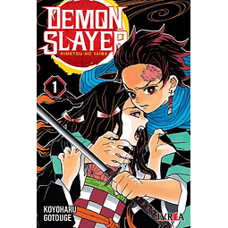 Demon Slayer - Kimetsu No Yaiba #01