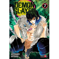 Demon Slayer - Kimetsu No Yaiba #07