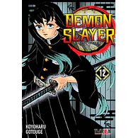 Demon Slayer - Kimetsu No Yaiba #12